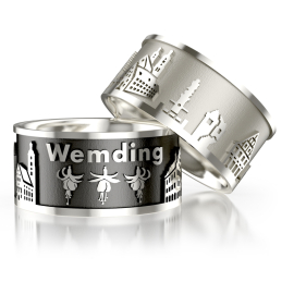 Stadtring Wemding Silber-hell